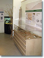 Museo della Pesca - Terza sala